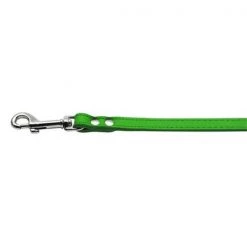 Mirage Pet Products 83-12 34Emg Fashionable Leather Leash Emerald Green .75 in. Wide