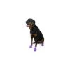 Pawz Dog Boots 8-97515-00105-5 12 Count Large Purple