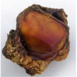 Jones Natural Chews 741956004147 Beef Knee Cap