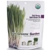 Bellrock Growers 669828550052 Pet Greens Cat Organic Self Grow Kit