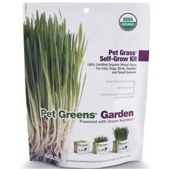 Bellrock Growers 669828550052 Pet Greens Cat Organic Self Grow Kit