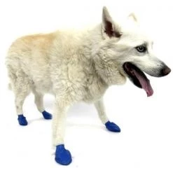 Pawz 897515001048 DOG BOOTS BLUE MEDIUM 12CT