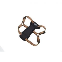 Coastal Pet Products 76484369506 K9 Explorer 1 in. Padded Harness Goldenrod; Yellow - 20 - 30 in.
