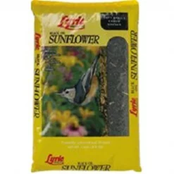 Lebanon Seaboard 2647279 Black Oil Sunflower Seed - 5 Lbs.