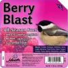 Heath Mfg DD-15 Berry Blast Suet