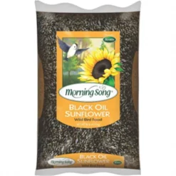 Global Harvest Foods 1015138 10 lbs. Seed Sunflower Oil; Black
