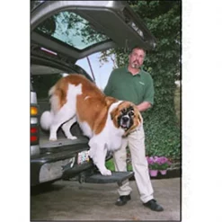 Otto Step 689076472791 Pet Step