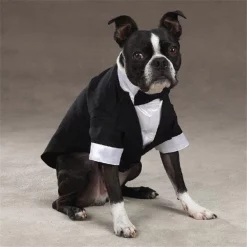 East Side Collection ZM1010 16 ESC Yappily Ever After Groom Tuxedo Med