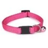 Guardian Survival Gear Guardian Gear ZA1000 08 35 Basic Nylon Cat Collar 8-12 In Flamingo Pink