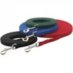 Guardian TP335 15 83 Cotton Web Training Lead 15 Ft Red