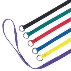 Guardian Survival Gear Guardian Gear TP88992 Kennel Leads 6 Ft 6-Pk Asst Colors