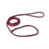 Guardian Survival Gear Guardian Gear TP41212 Poly Animal Control Leads 12-Pkg