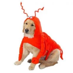 Casual Canine ZA540 24 Lobster Paws Costume XL