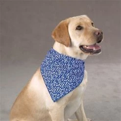 Pet Pals DT8672 83 Aria Blue Ribbon Bone Bandana Red