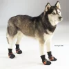 Pet Pals ZA245 01 69 Guardian Gear Dog Boots Xxxsm Orange