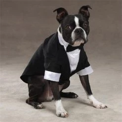 Pet Pals ZM1010 20 ESC Yappily Ever After Groom Tuxedo Lrg