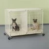Pet Pals ZW5312 11 PS Color Modular Cage X-Tall with Plstic Try Ivory S