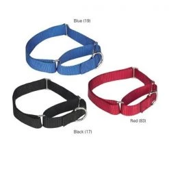 Guardian Survival Gear Guardian Gear ZA1513 18 83 GG Nylon Martingale Collar 18-26 In Red