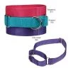 Guardian Survival Gear Guardian Gear ZA1524 18 16 GG Nylon Martingale Cllr 18-26 In Bluebird