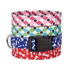 Casual Canine ZA1547 10 84 CC Pooch Patterns Collar 10-16 In Blue Argyle