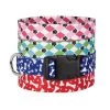 Casual Canine ZA1547 18 84 CC Pooch Patterns Collar 18-26 In Blue Argyle