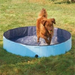 Petedge ZW3188 10 92 Guardian Gear Splash About Dog Pool Med Sky Blue
