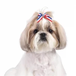 Aria DT361 99 Aria Stars and Stripes Bows Canister 100/Pkg