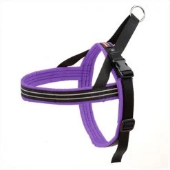 Comfortflex CFSHPUML Comfortflex Sport Harness - Purple Color - M and L