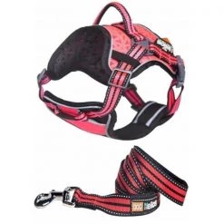 Command HA6PKLG Dog Chest Compression Pet Harness & Leash Combo Large - Pink