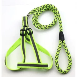 Petpurifiers Reflective Stitched Easy Tension Adjustable 2-in-1 Dog Leash and Harness; Green - Small