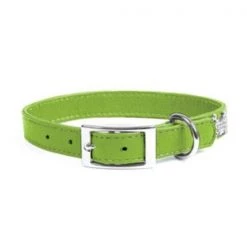 Rockin Doggie Rockinft Doggie 844587016043 1 in. x 20 in. Leather Collar Plain - Green