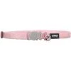 Red Dingo CC-ZZ-PK-XS Kitten Collar Classic Pink