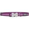 Red Dingo DC-RB-PU-ME Dog Collar Reflective Purple; Medium