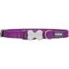 Red Dingo DC-ZZ-PU-ME Dog Collar Classic Purple; Medium