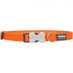 Red Dingo DC-ZZ-OR-LG Dog Collar Classic Orange; Large