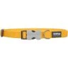 Red Dingo DC-ZZ-YE-LG Dog Collar Classic Yellow; Large