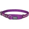 Red Dingo MC-DC-PU-SM Martingale Dog Collar Design Daisy Chain Purple; Small