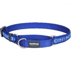 Red Dingo MC-CO-DB-SM Martingale Dog Collar Design Cosmos Dark Blue; Small