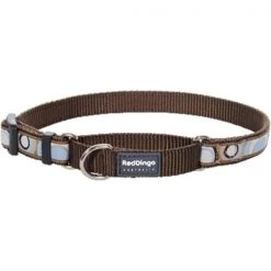 Red Dingo MC-CI-BR-ME Martingale Dog Collar Design Circadelic Brown; Medium