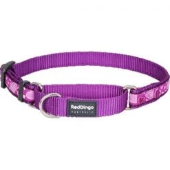 Red Dingo MC-BZ-PU-ME Martingale Dog Collar Design Breezy Love Purple; Medium