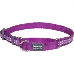 Red Dingo MC-RB-PU-SM Martingale Dog Collar Reflective Purple; Small