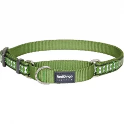 Red Dingo MC-RB-GR-SM Martingale Dog Collar Reflective Green; Small