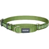 Red Dingo MC-RB-GR-LG Martingale Dog Collar Reflective Green; Large