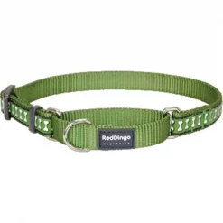 Red Dingo MC-RB-GR-LG Martingale Dog Collar Reflective Green; Large