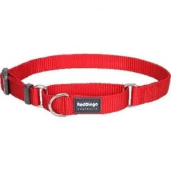 Red Dingo MC-ZZ-RE-ME Martingale Dog Collar Classic Red; Medium