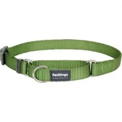 Red Dingo MC-ZZ-GR-ME Martingale Dog Collar Classic Green; Medium