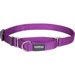 Red Dingo MC-ZZ-PU-ME Martingale Dog Collar Classic Purple; Medium