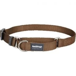 Red Dingo MC-ZZ-BR-LG Martingale Dog Collar Classic Brown; Large