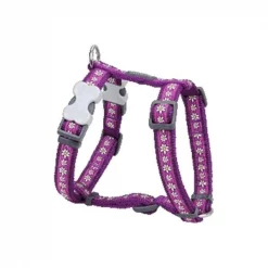 Red Dingo DH-DC-PU-ME Dog Harness Design Daisy Chain Purple; Medium