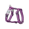 Red Dingo DH-RB-PU-LG Dog Harness Reflective Purple; Large